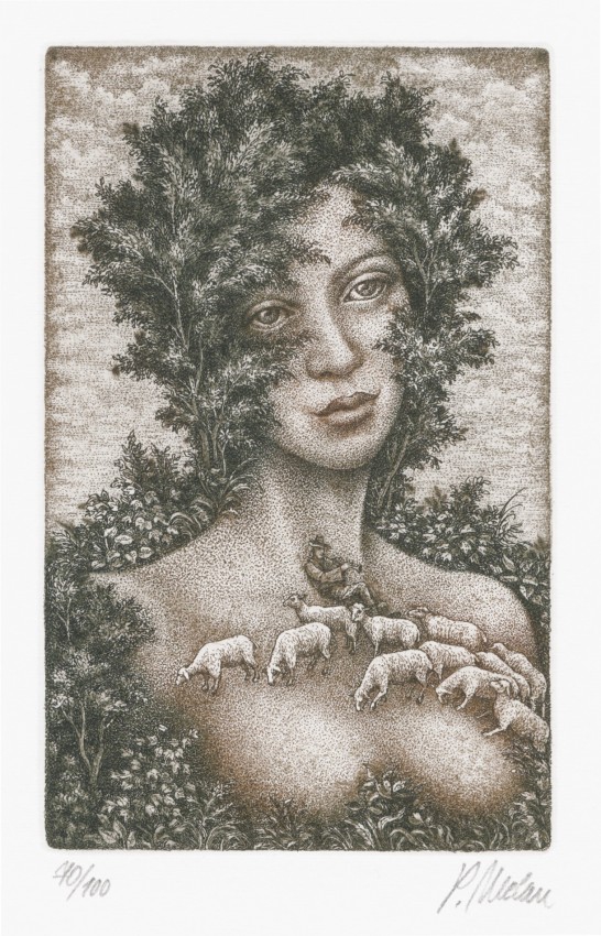 Melan Petr - Counting Sheep - Print